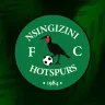 Nsingizini Hotspurs